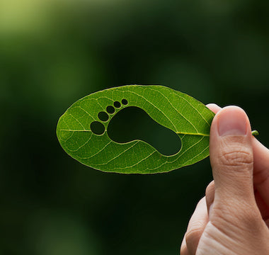 An Update on Our Carbon Footprint Initiatives