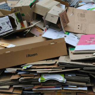 How to Conduct a Waste Audit to Save Money