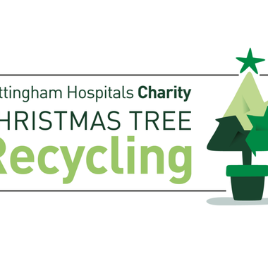 Shredall SDS Group are a Christmas Tree Recycling Partner